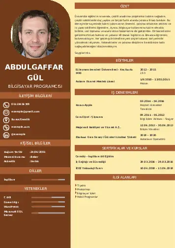 Bilgisayar Programcısı CV Örnekleri cv indir